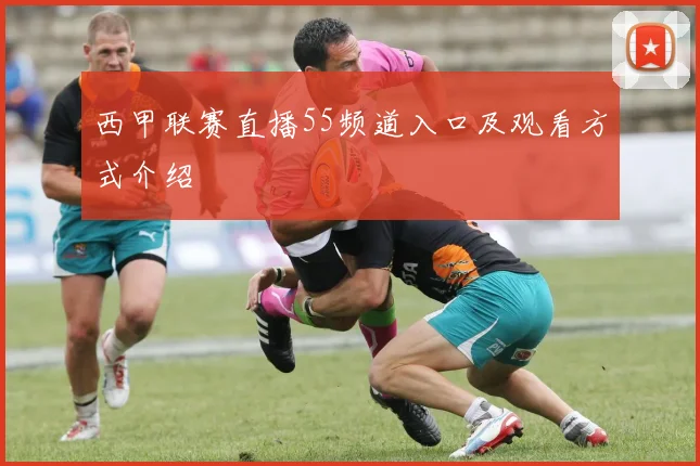 西甲联赛直播55频道入口及观看方式介绍